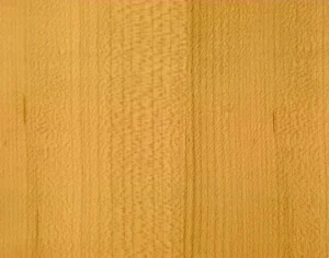 Natural Maple Finish